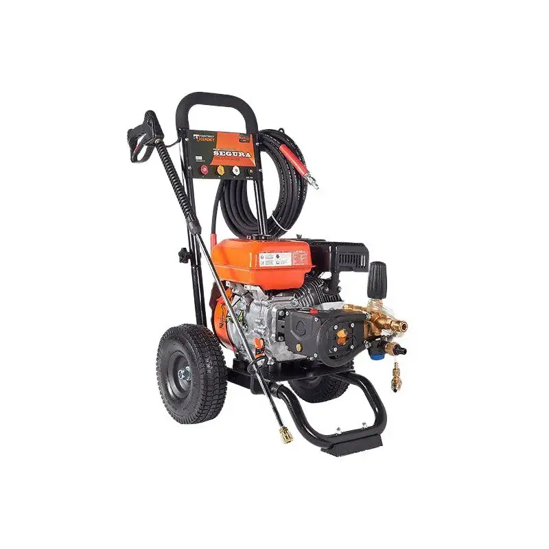 Benzin Hochdruckreiniger 175BAR GENERGY SEGURA - 684L/H - E-Start Billig