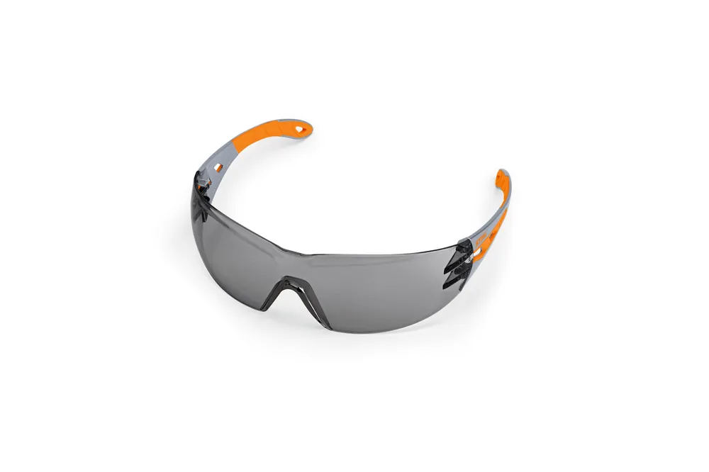 Aktuell Schutzbrille DYNAMIC LIGHT PLUS, getönt