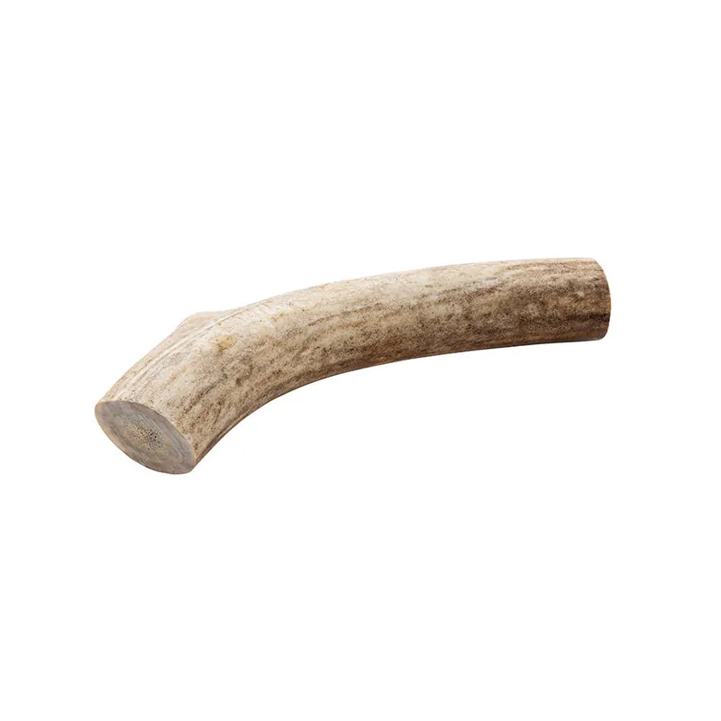 Online Kaufen Rentiergeweih-Abschnitt, 251-350 g