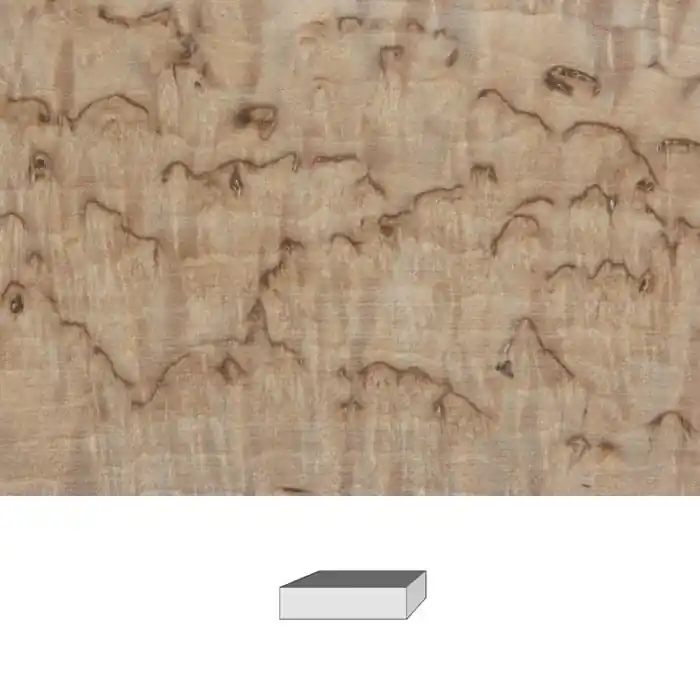 Maserbirke, 1. Qualität, 120 x 40 x 30 mm Highlight