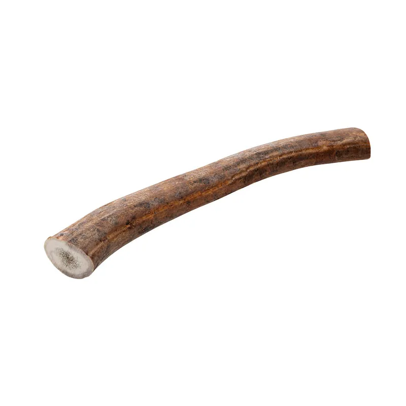 Rentiergeweih-Abschnitt, 181-250 g Schneller Versand