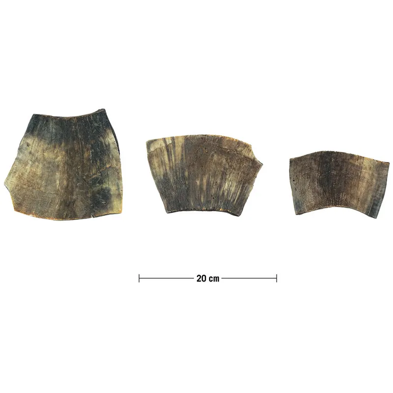 Saisonangebot Kuhhorn-Platte, 131-180 g