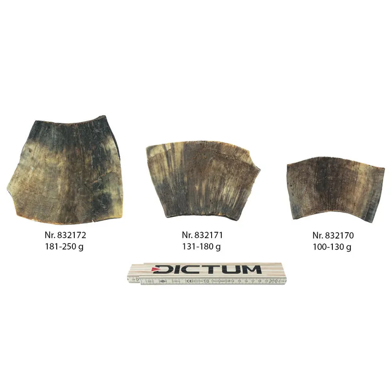 Kuhhorn-Platte, 100-130 g Preisreduziert