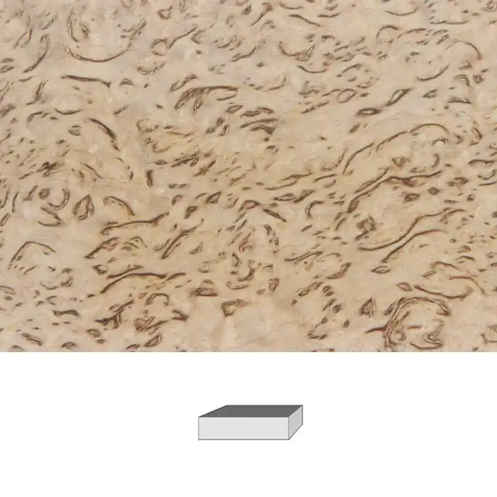Garantierte Lieferung Maserbirke, Premium-Qualität, 120 x 40 x 30 mm