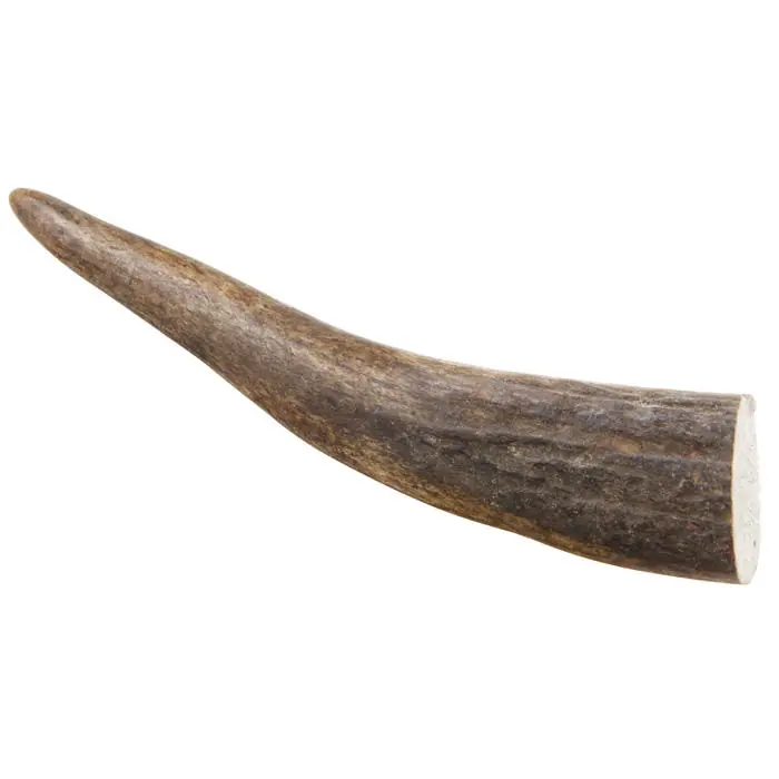 Geweihspitze Angebot