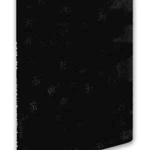 Top-Preis HEYLO Vorfilter Aktivkohle für FT 500 / PowerFilter 1400