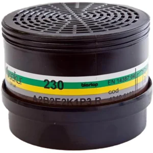 Ekastu Mehrbereichs-Kombi-Filter 230 A2B2E2K1 -P3R D, 2 Stück Highlight