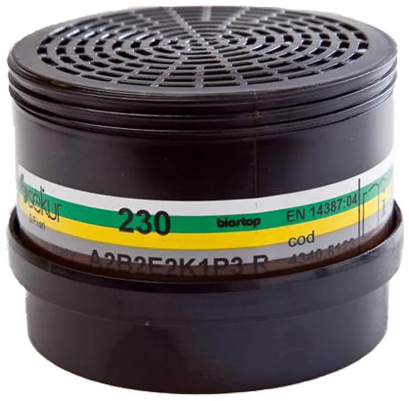 Ekastu Mehrbereichs-Kombi-Filter 230 A2B2E2K1 -P3R D, 2 Stück Highlight