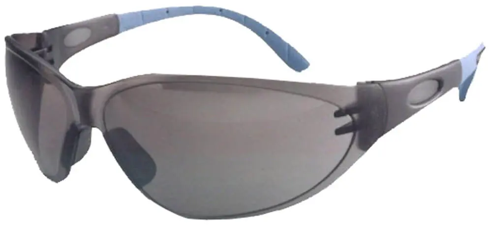 Saisonangebot ARTILUX Arbeitsschutz-Brille Arty FL 260 smoke, SB-Pack