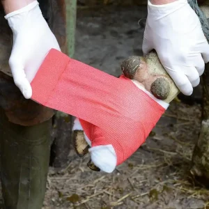 Beliebt Holthaus Medical Klauenbandage Ausführung: Breite 10 cm, Farbe rot