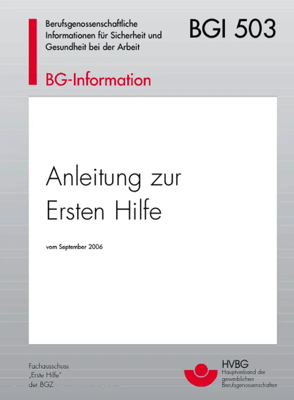 Sonderaktion Holthaus Medical Anleitung Erste Hilfe nach BGI 503