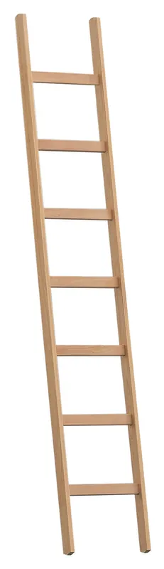 Top-Angebot Layher Steigtechnik Holz-Anlegeleiter 1052  Sprossenanzahl: 10