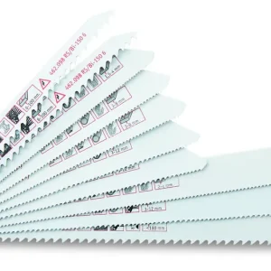 FLEX Säbelsägeblatt-Set RS/Bi 10-teilig Highlight