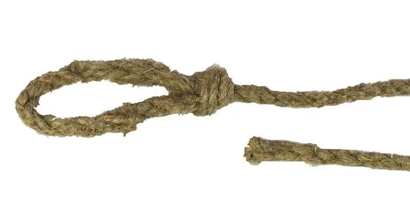 Begrenztes Angebot profibau Gerüststrick Hanf mit Öse und Spitze, 8 mm, 2,5 m